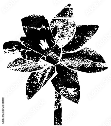 Flower blooms monochromatically with distressed texture