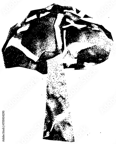 Mushroom illustrates texture for botanical studies