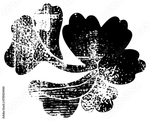 Acorn Texture in Botanical Illustration