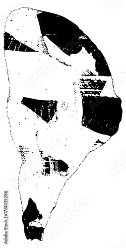 Portrait Illustrates Mystery in Profile