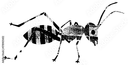 Ant illustrates in natural history