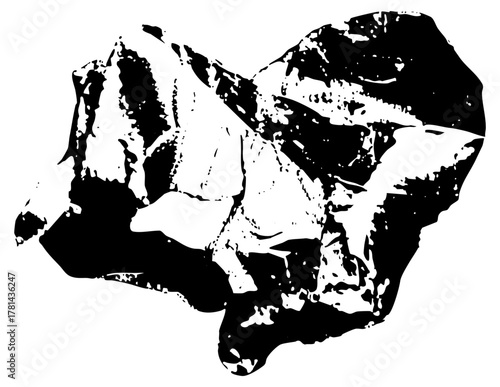 bear roars fiercely in wilderness