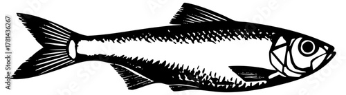 Fish Illustrates Anatomy Diagram for Educational Materials