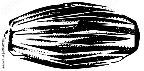 Cucumber illustrates freshness in botanical art