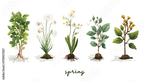 Vibrant Plant Set with 'Spring' Name Tag � Botanical Illustration for Home D�cor