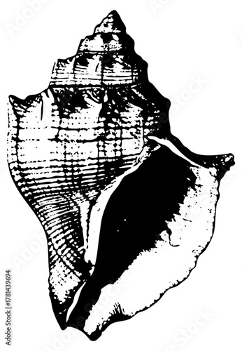 Illustrates Texture in Composition