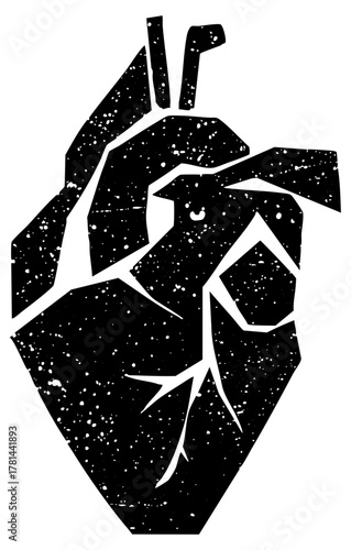 Heart Illustrates Anatomy in Medical Education