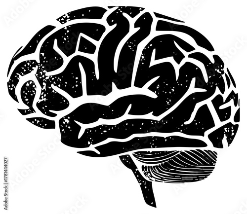 Brain illustrates complexity in neurological study