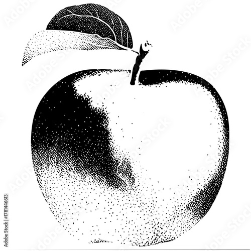 illustrates duality in engraving