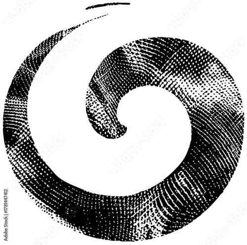 Spiral design evolves organically in abstract illustration