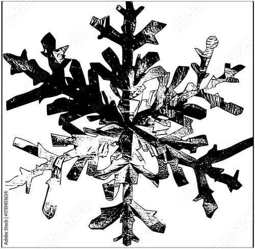 Snowflake illustrates complexity in winter weather