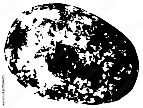 Broken egg reveals texture abstract design