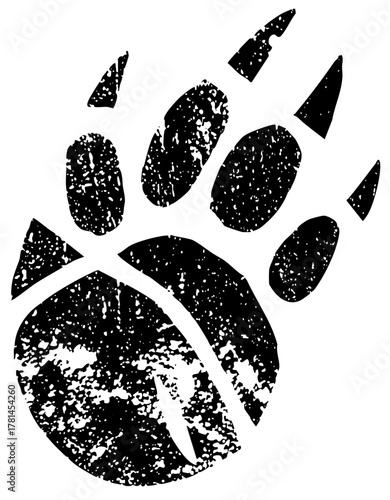 Animal Pawprint Texture in Wilderness