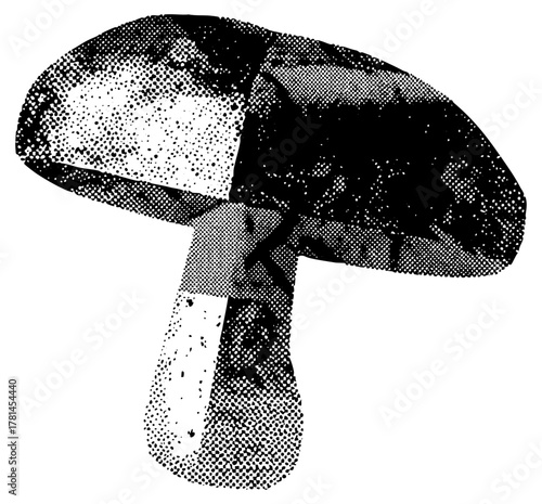 Mushroom illustrates dichotomy in halftone