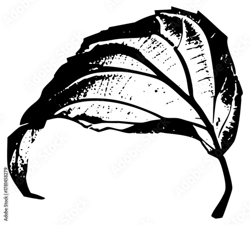 Leaf decays organically in autumn