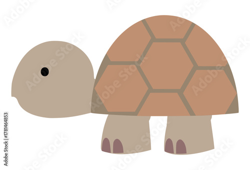 Turtle  svg, paper cut, silhouette, Cricut, school, kids , Decoration, cut file , vector, pattern