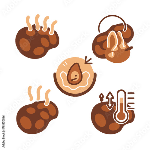 Illustration of avocado ripening stages with temperature and texture changes