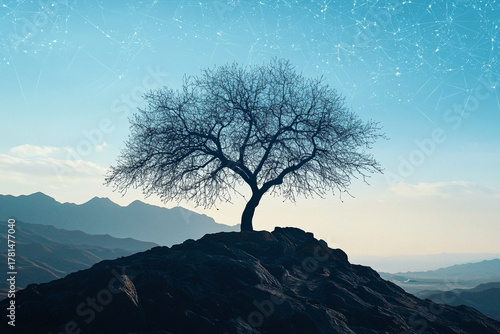 A barren tree standing motionless atop a high plateau, silhouetted against the sky  