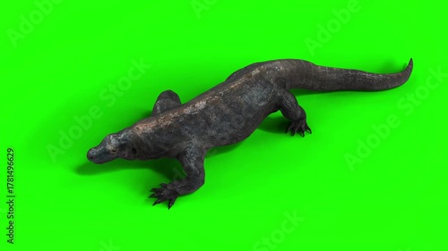 3d Illustration of A giant lizard moves gracefully through its natural habitat, displaying strength, alertness, and primal elegance.
