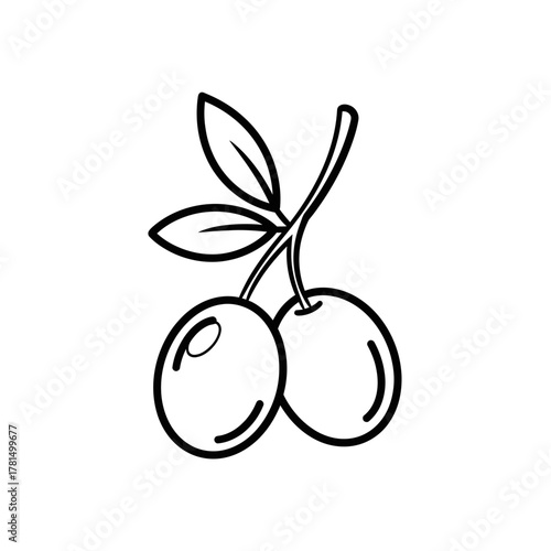 Olive Branch Outline Icon with Two Fruits and Leaves Symbolizing Nature and Health