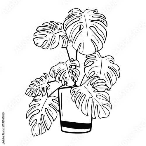 Minimalist line art of Monstera deliciosa in striped pot, elegant black and white botanical illustration for modern decor and coloring