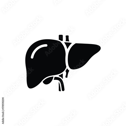Black liver silhouette on white background organ anatomy