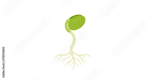 Green Sprout on White Vector Illustration of New Life