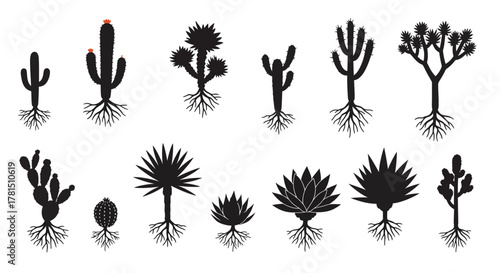 Desert silhouettes Cactus and agave plant icons