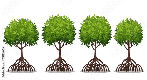 Mangrove Trees Vector Set with Root Systems for Environmental Designs