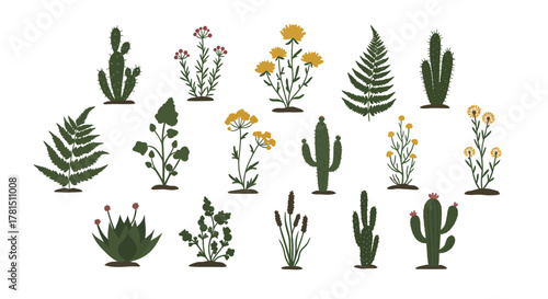 Flat Vector Assortment of Green Plants and Cacti on White