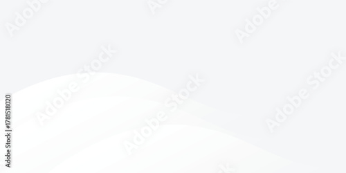 Abstract white and gray background with gradient color and artistic dynamic line decoration simple, Vector eps10
