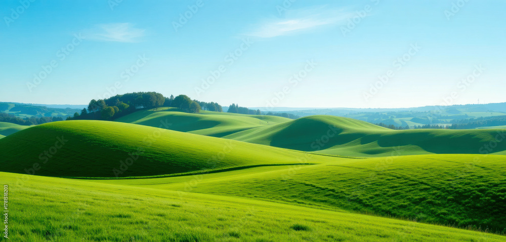 Fototapeta premium Rolling Green Hills and Trees with Sky 
