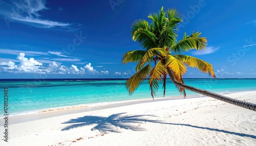 Vibrant Tropical Island Beach Paradise At Sunset With Palm Tree and Turquoise Ocean Water Reflecting Golden Light Under a Clear Blue Sky