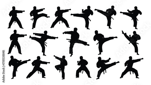 Martial arts karate silhouettes isolated on white background, Vector