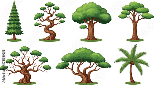 Tree illustration set, evergreen, palm tree, twisted trunk, wide canopy, foliage types, landscape design, nature graphic, botanical art, greenery