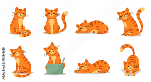 Adorable ginger tabby cats in various poses, playful and charming illustration for children's books or pet-themed designs that are perfect for adding warmth