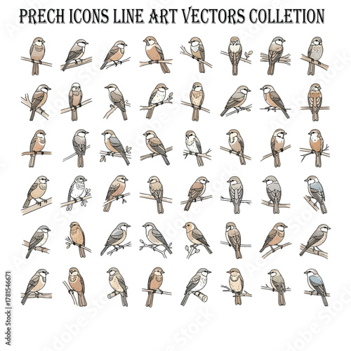 Preach Concept – Inspirational and Motivational Design