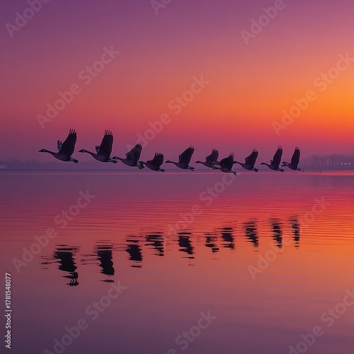 A graceful line of birds flying across a glowing sunset sky, mirrored beautifully on calm reflective waters.