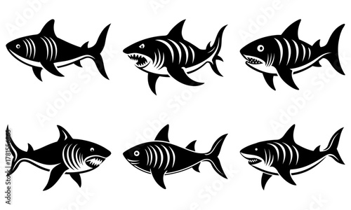 Powerful shark silhouettes swimming predator ocean life aquatic danger sea animals marine wildlife nautical illustration wild nature oceanography sharks