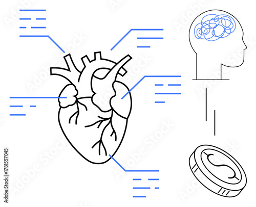 Anatomical heart with labels, brain expressing cognitive process, and coin symbolizing finance. Ideal for health, innovation, medical research, neuroscience, decision-making, economics simple flat