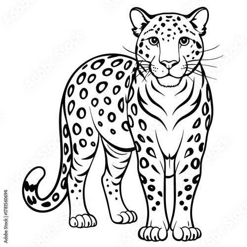 A black and white line drawing of a leopard standing and looking forward