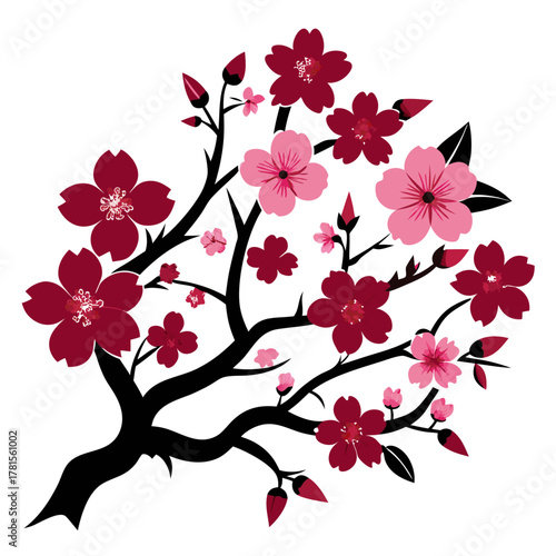 Cherry blossom branch with dark pink and light pink flowers and buds