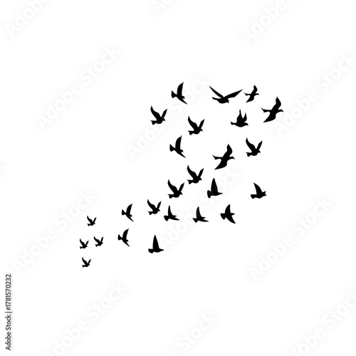 Black bird silhouettes flying across a white background, perfect for stock photography focused on nature and wildlife themes.