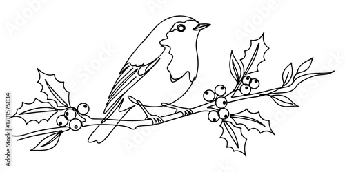 Continuous one line of robin perched on a branch with holly berries, style hand drawing vector illustration.