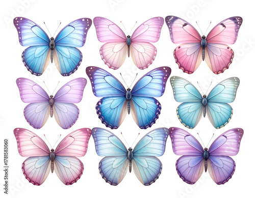  Collection of Pastel Colored Butterflies, Realistic Wing Texture Set, Isolated on Transparent Background