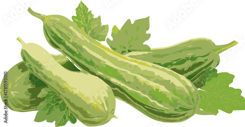 Bright green bitter melon vector encouraging mindful food understanding, nature exploration, and healthy youth habits.
