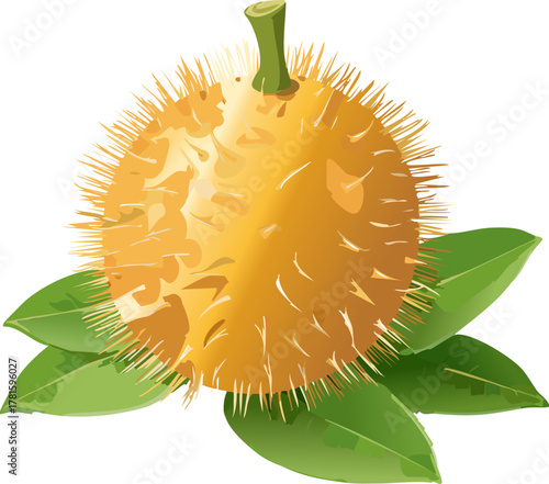 Yellow rambutan artwork for posters and slides explaining how plants protect seeds and signal ripeness using color, texture, and aroma.
