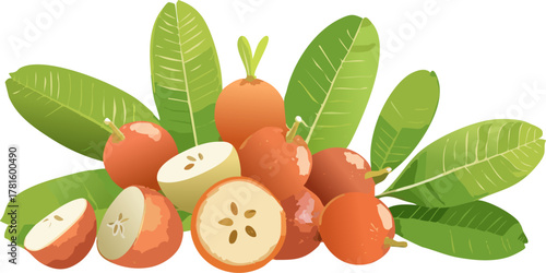 Clean, Isolated Object Vector: Perfect for Creating High-Resolution Digital Overlays, Website Backgrounds, and Minimalist Design Elements for Modern, Eco-Friendly Brands.