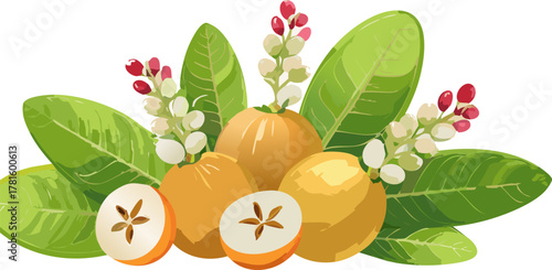 Promoting Vitamin C and Antioxidants: Graphic Design Focused on the Health Attributes of the Karonda Fruit, Ideal for Wellness Campaigns and Nutritional Education Materials for Children.