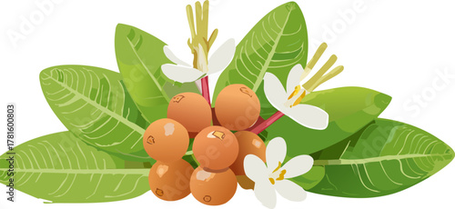Seamless Digital Border or Design Element: Illustration Featuring Ripe Carissa Berries and Leaves, Perfect for Websites, Banners, and Infographics Related to Herbal Medicine and Health Benefits.